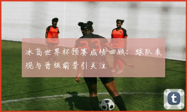 冰岛世界杯预赛成绩回顾:球队表现与晋级前景引关注