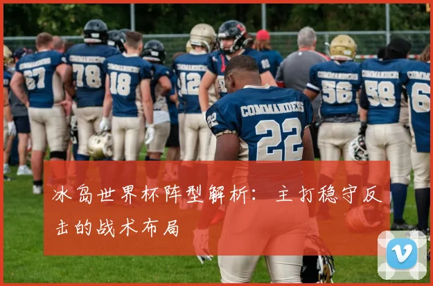 冰岛世界杯阵型解析:主打稳守反击的战术布局