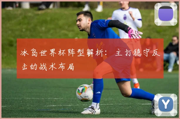 冰岛世界杯阵型解析:主打稳守反击的战术布局