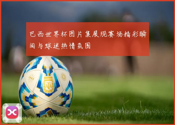 巴西世界杯图片集展现赛场精彩瞬间与球迷热情氛围
